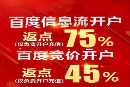 SEM广告投放的竞价策略与效果评估案例